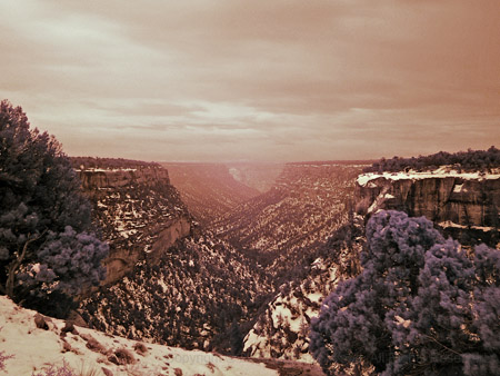Looking Through the Canyon