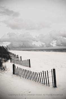 Sand fences II